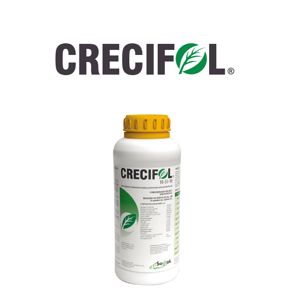 Crecifol